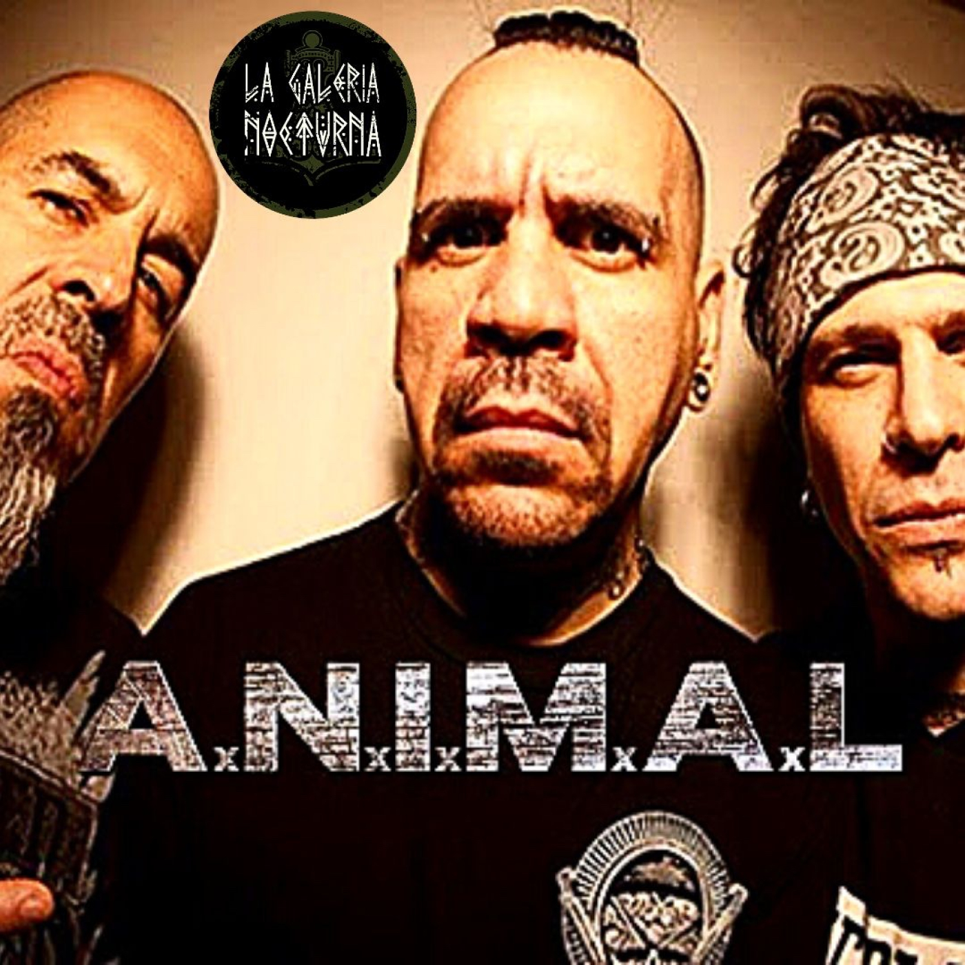 La Galeria Nocturma | El Nuevo Camino de ANIMAL episode artwork