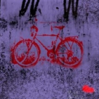 embed image