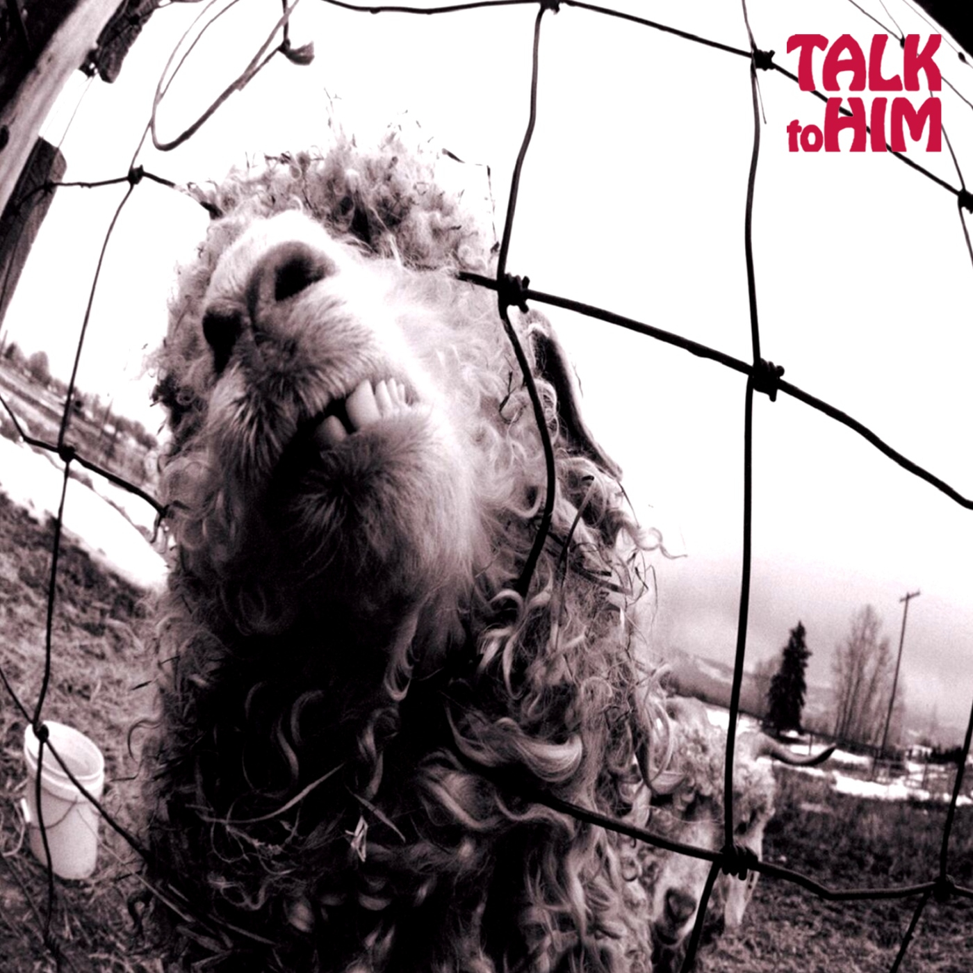 Talk to Him