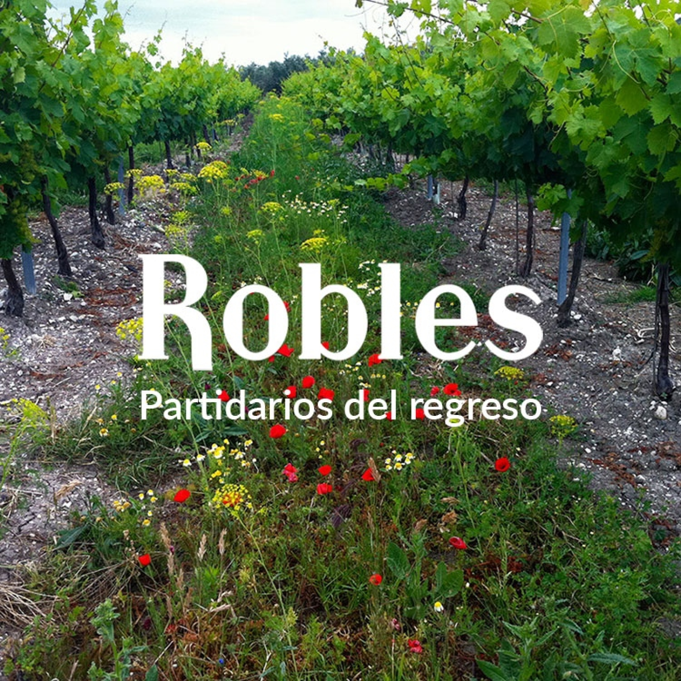 Bodegas Robles