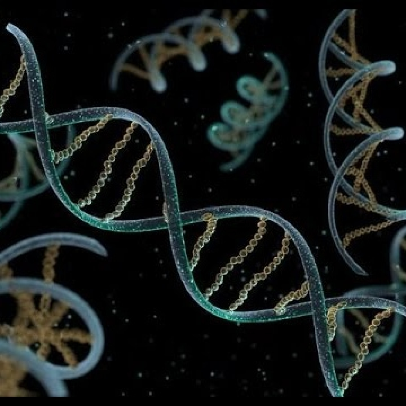 1336 - La Evolución sigue su camino y, después, Un origen abiogénico de la Vida (este último tema en redifusión) - Episodio exclusivo para mecenas