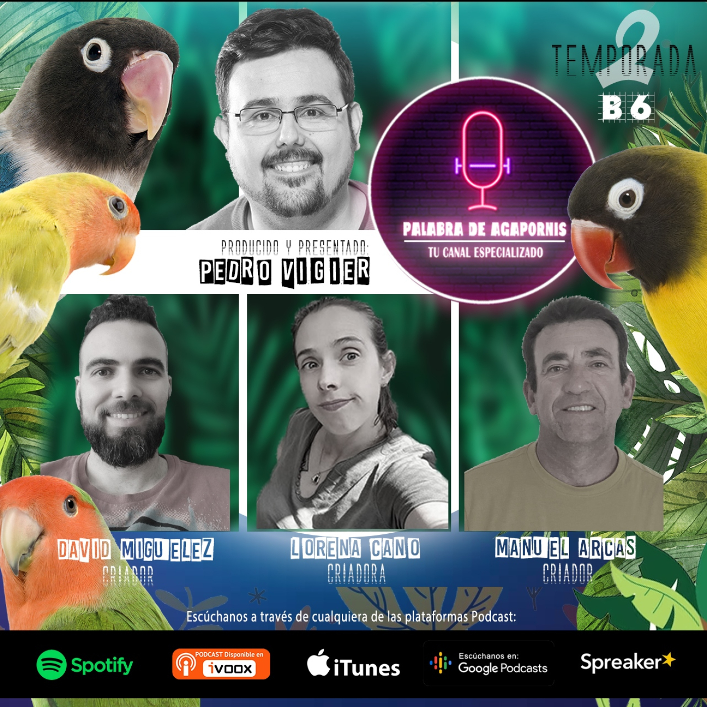 B6 Los Agapornis, peligra la afición