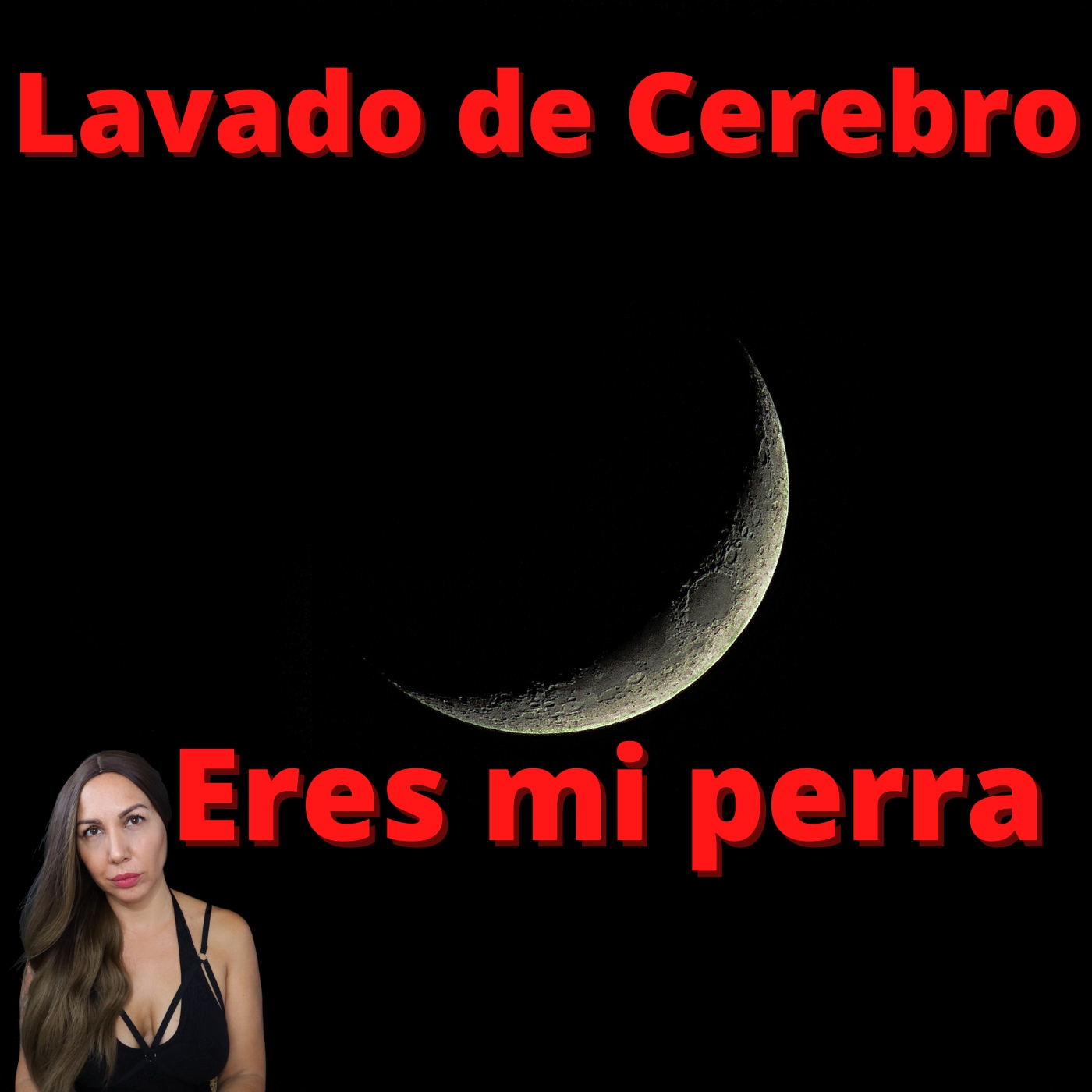 Perrito Obediente