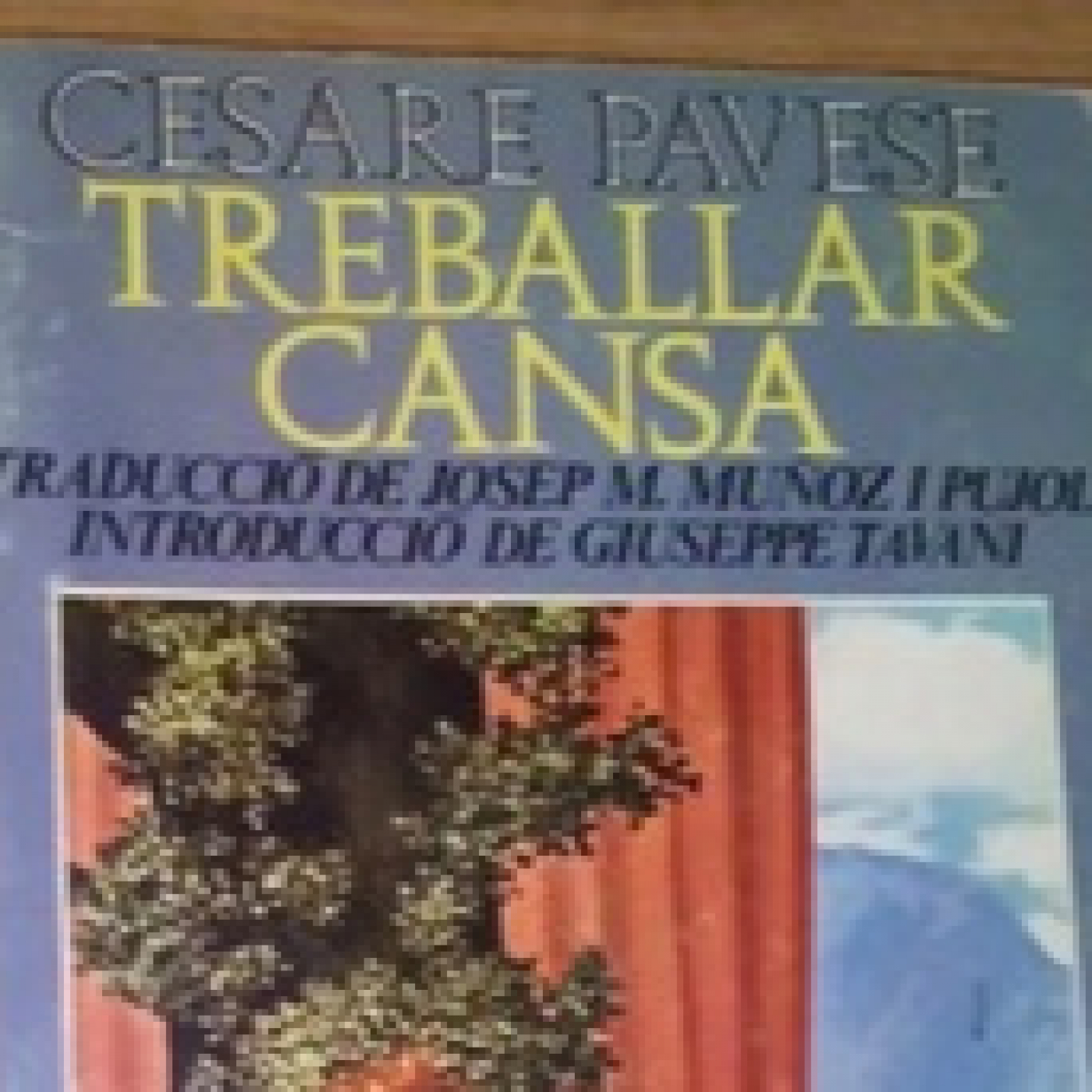 La Biblioteca del Golea