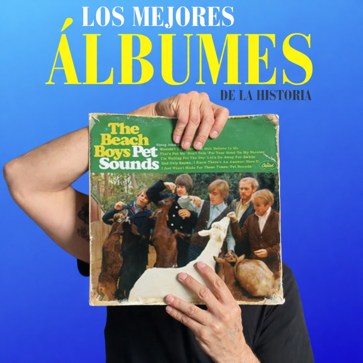 The Beach Boys | Pet sounds episode artwork