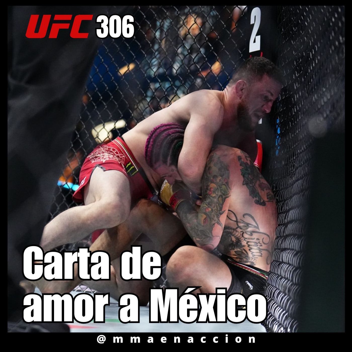 MMA en acción