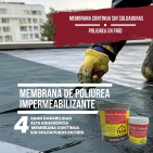 embed image