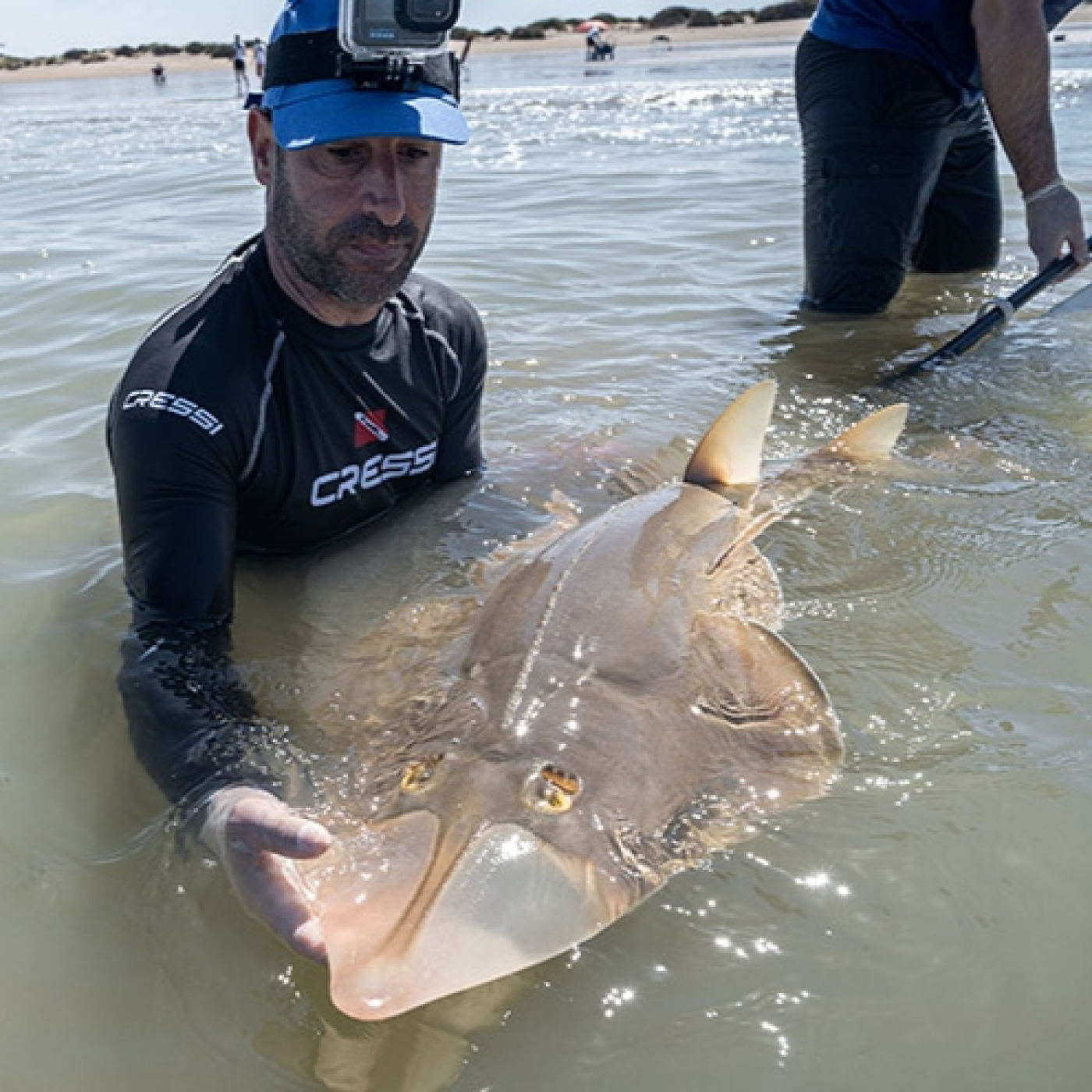 Rio de la Vida pesca