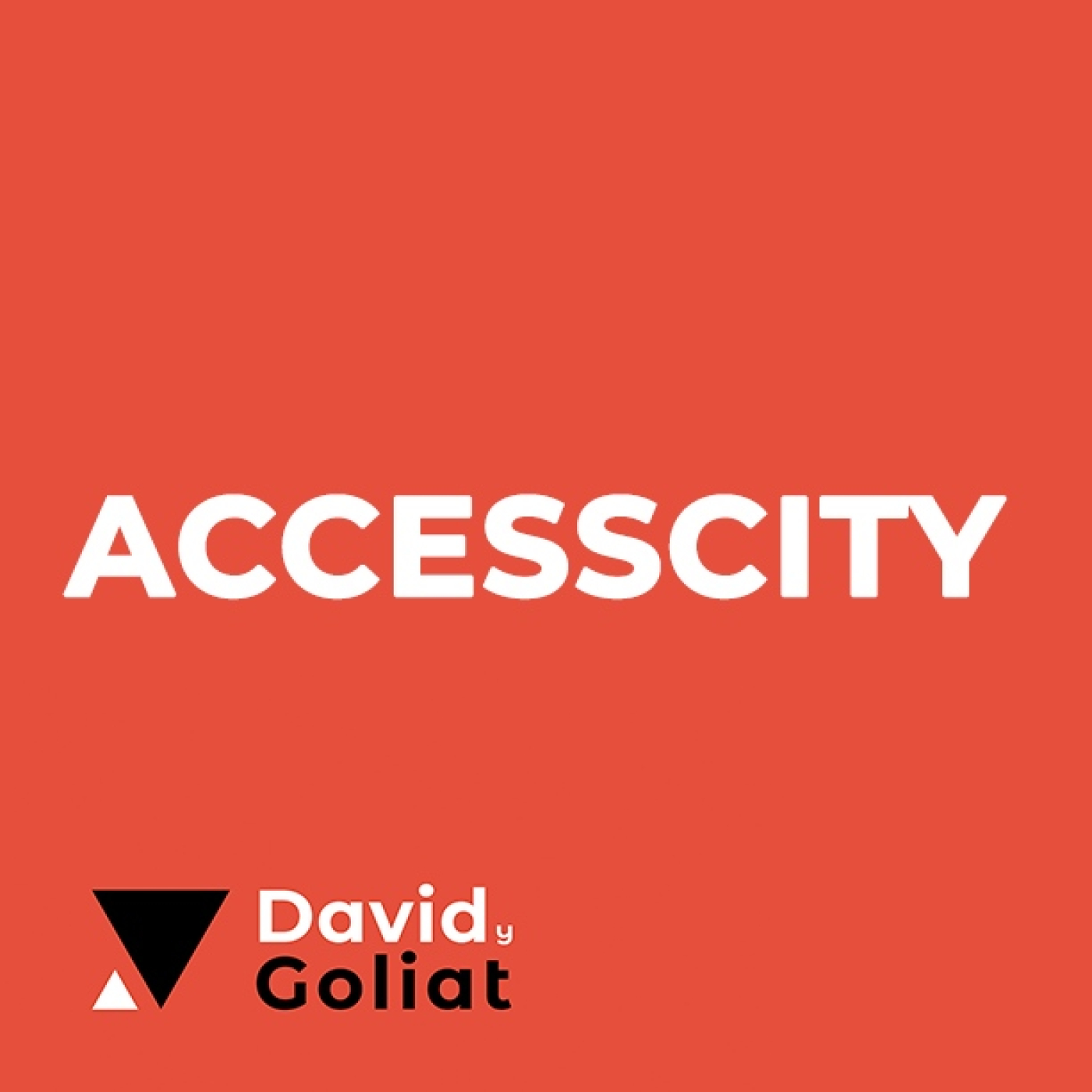 Capítulo 20 - Accessity - Un mundo sin barreras episode artwork