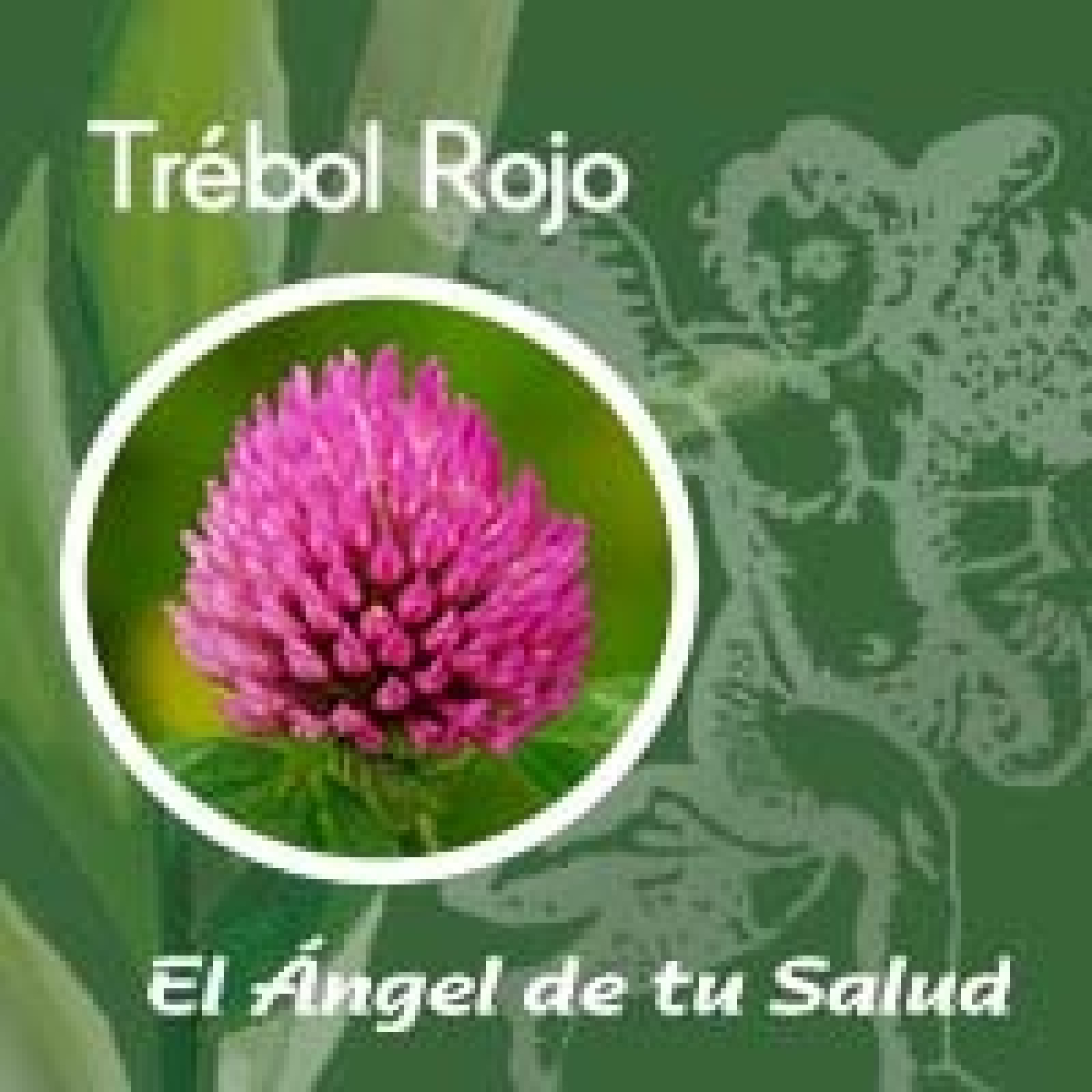 El Ángel de tu Salud - Trébol Rojo** episode artwork