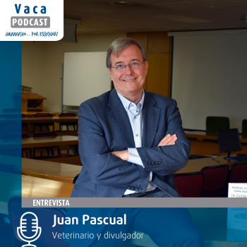 Entrevista a Juan Pascual