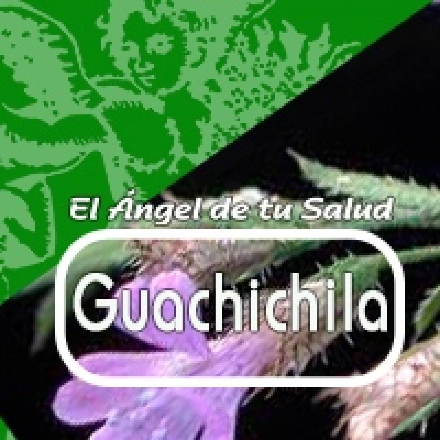 El Angel de tu Salud -GUACHICHILA****