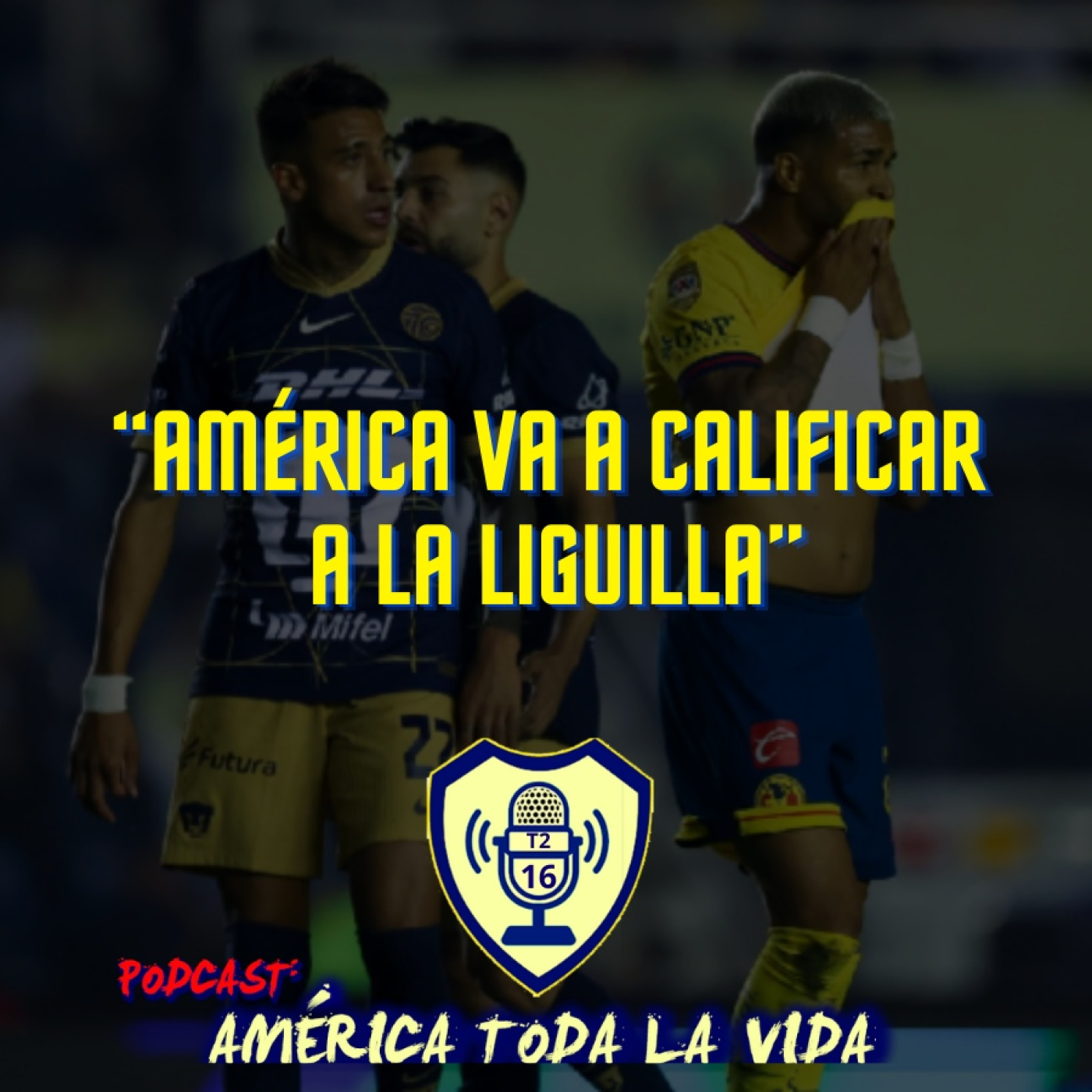 América toda la vida