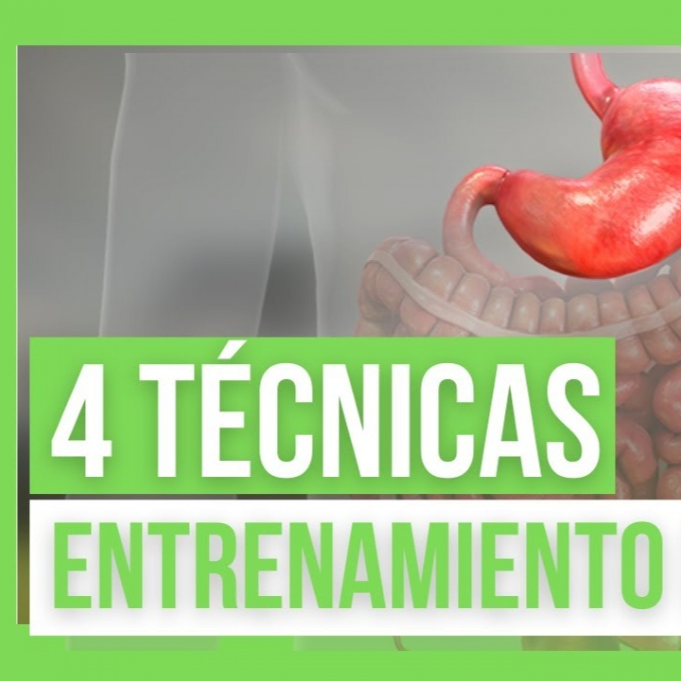OptimaSport Preparación Física