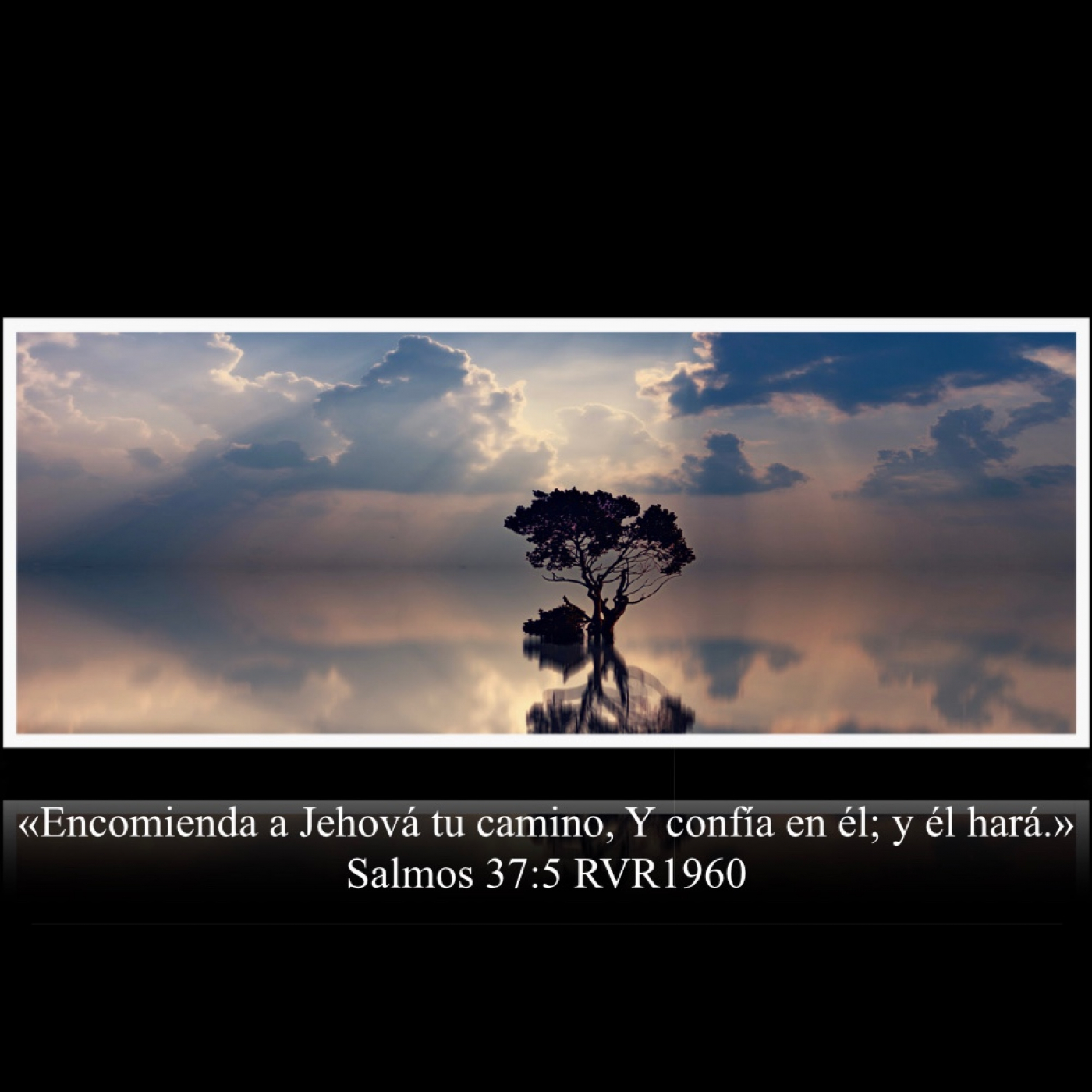 Reflexiones Cristianas