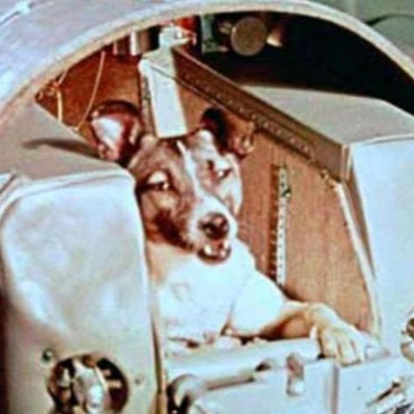 La triste historia de la perra Laika contada por el encantador de perros argentino. episode artwork