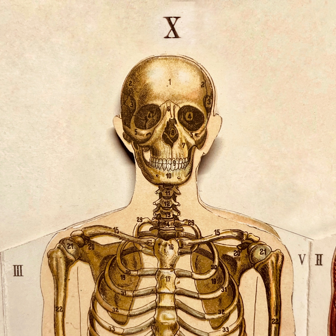 EPSA is Burning S27 E10 - Episodio exclusivo para mecenas