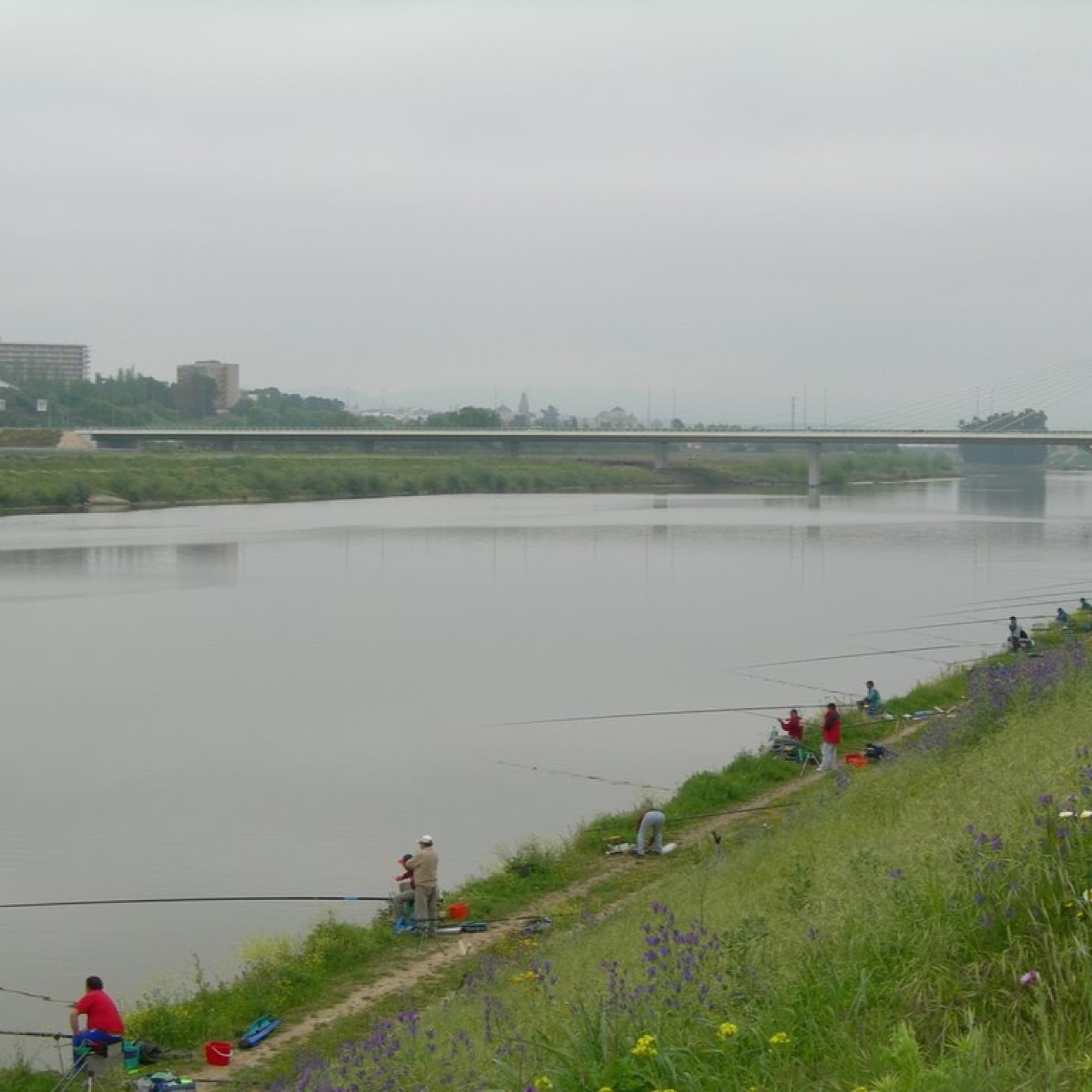 Rio de la Vida pesca
