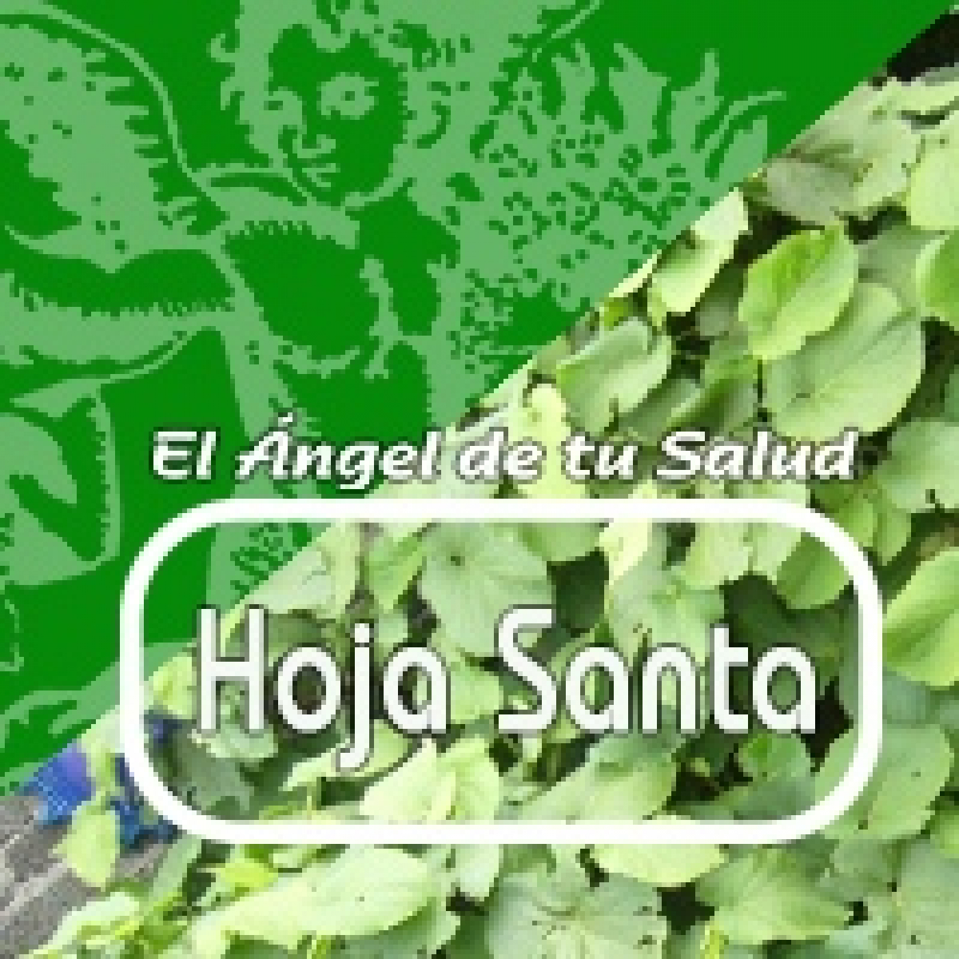 El Ángel de tu Salud - HOJA SANTA*** episode artwork