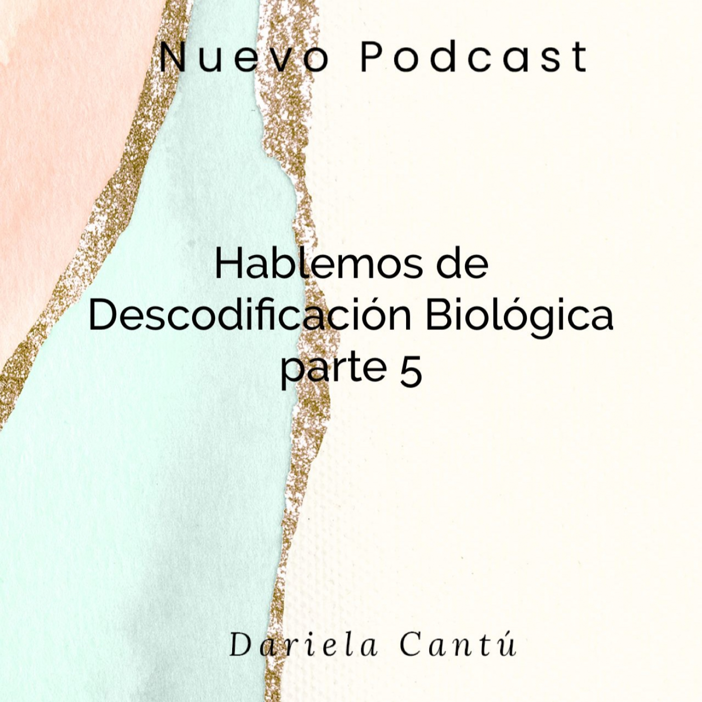 The Holistic Project