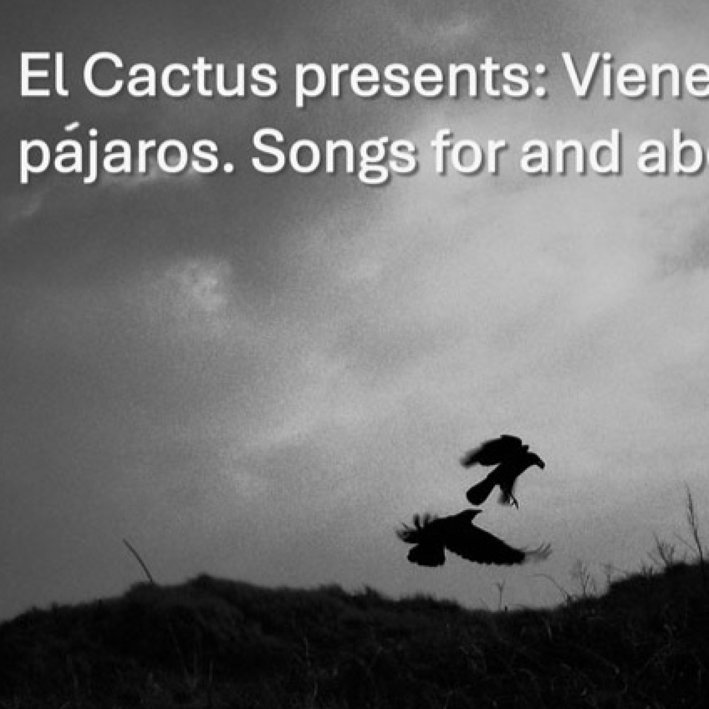 El Cactus