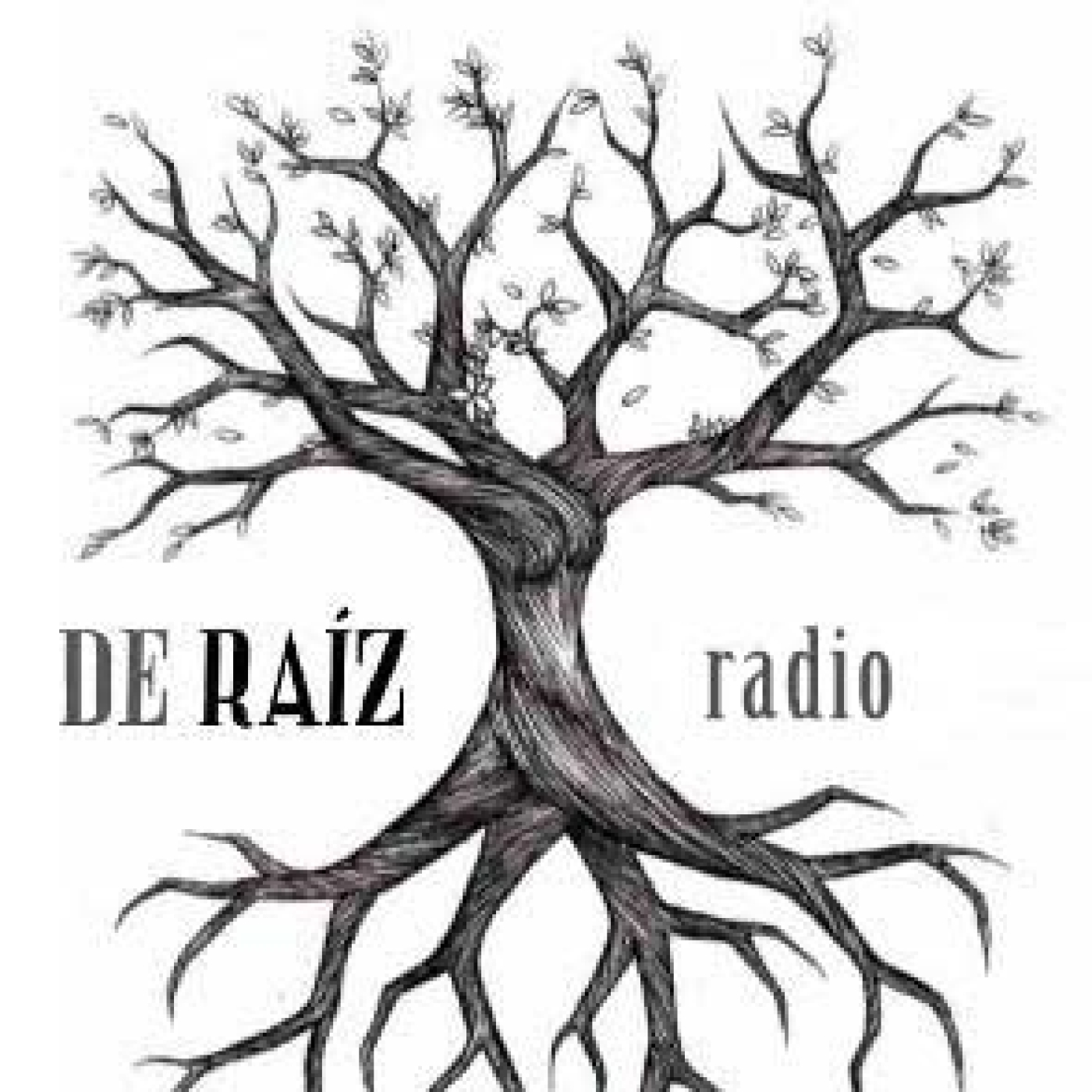 De Raíz Radio