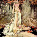 embed image