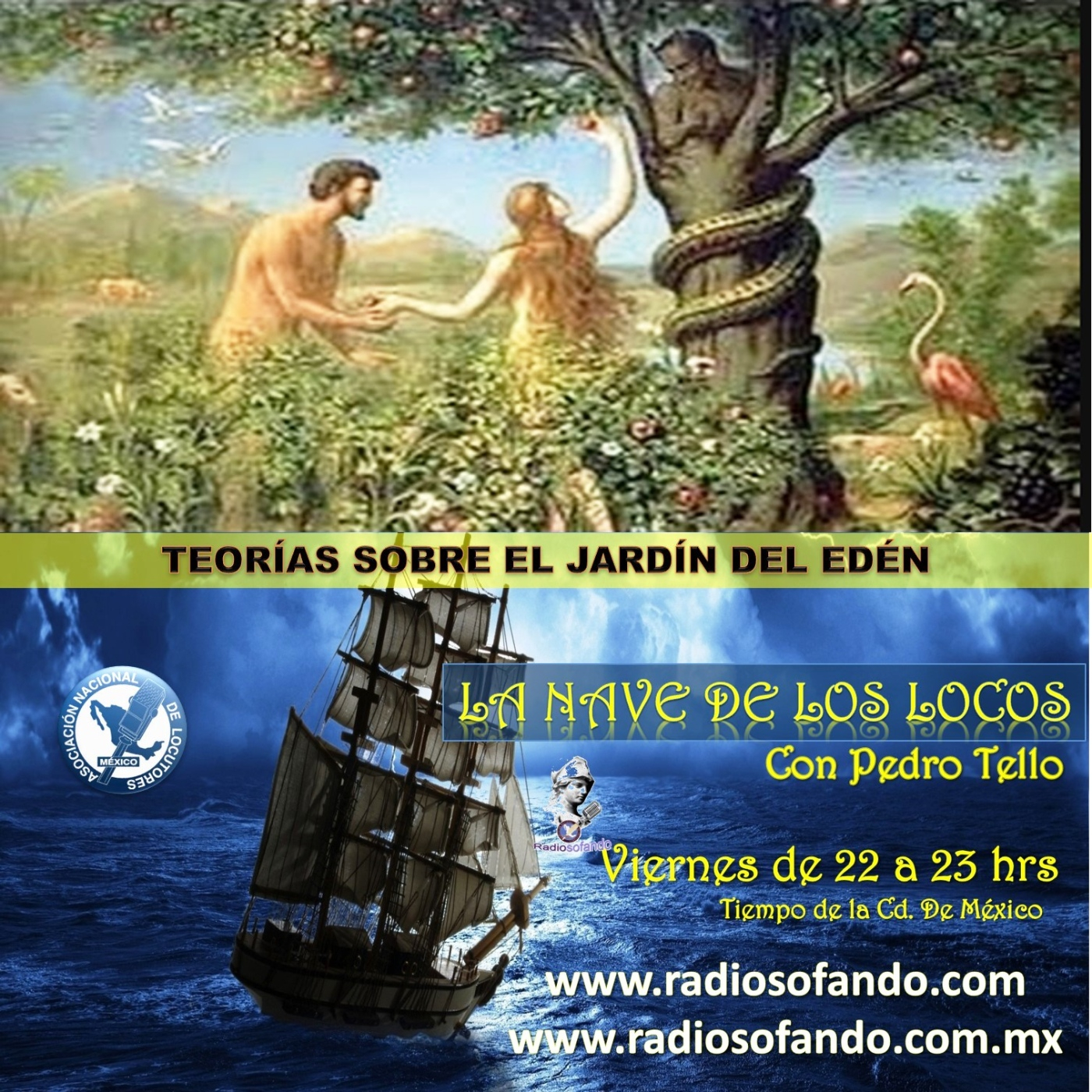 La Nave de los Locos