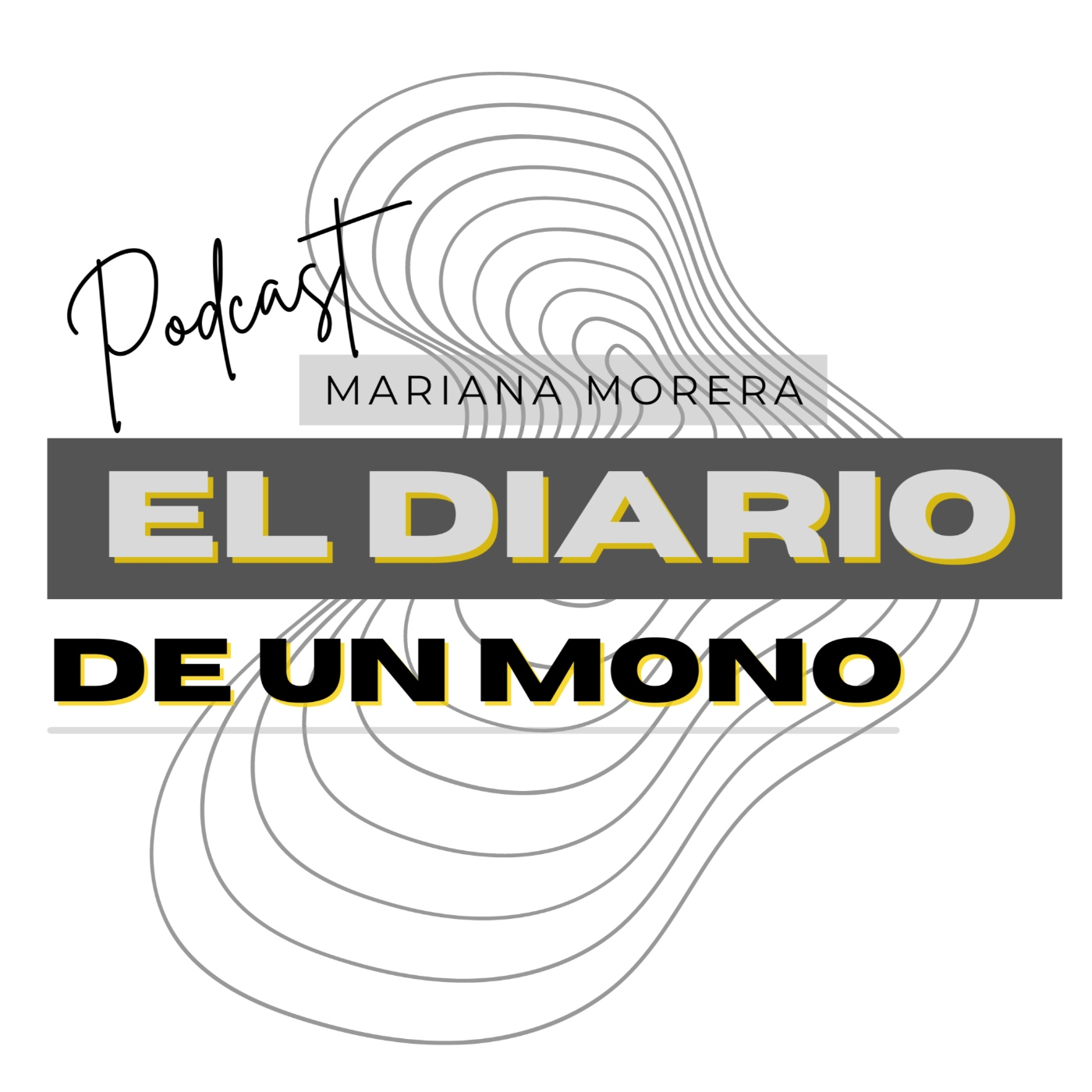 El Diario de un artista