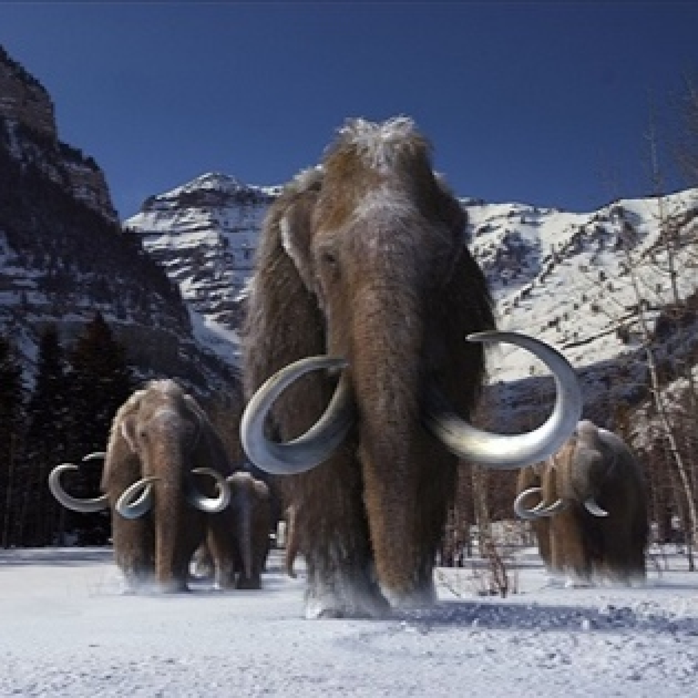 EHC 23T9- Quan l'home i els pets de mamut van produir una glaciació: el Dryas Recent episode artwork