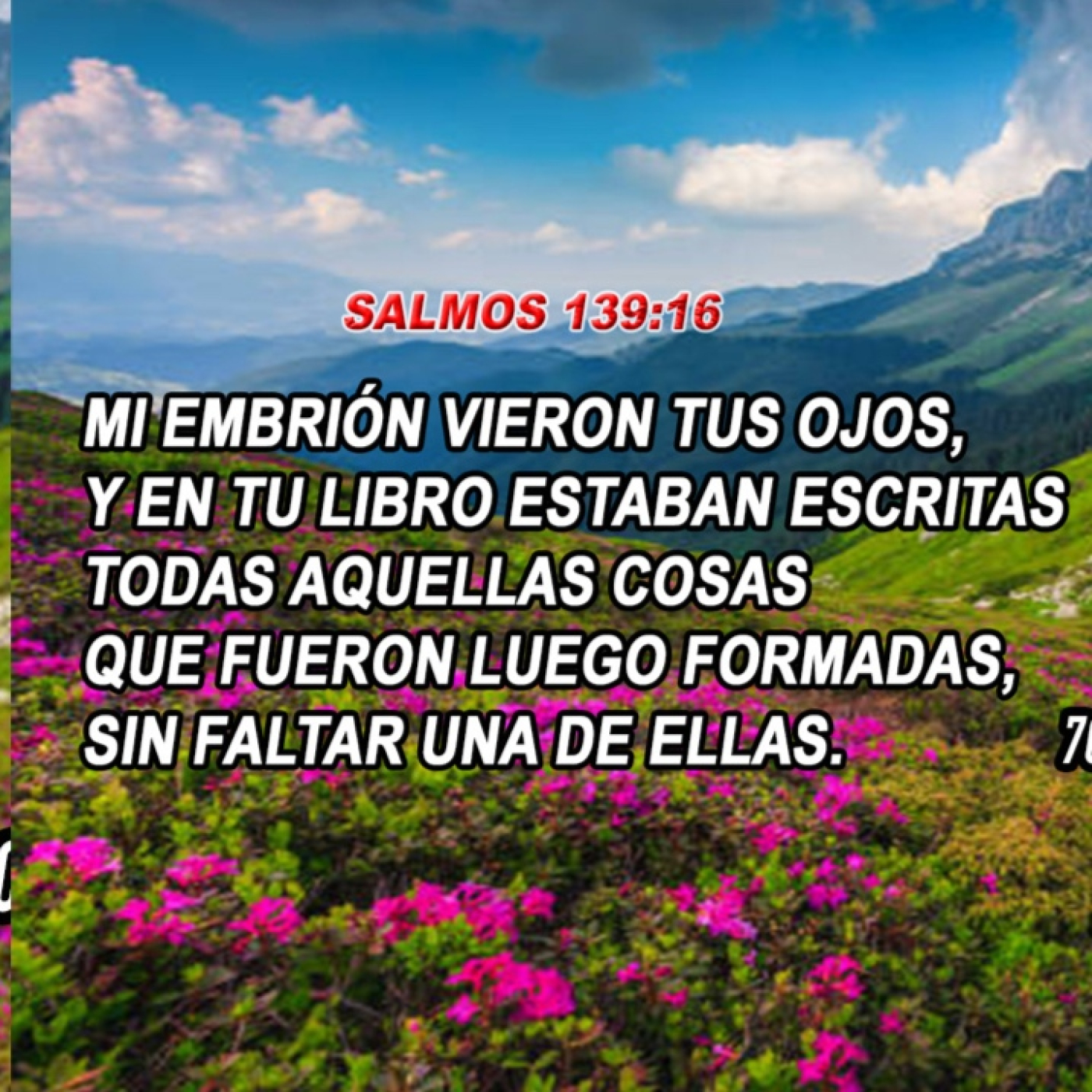 Dios nos dio un talento y forma para subsistir, trabajar y triunfar en la vida/ Edgar Calderon episode artwork