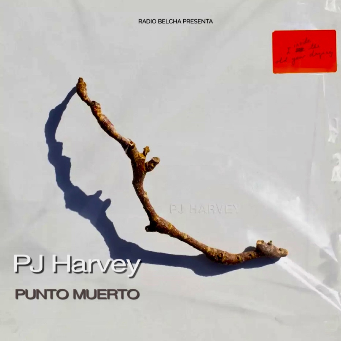 Punto Muerto