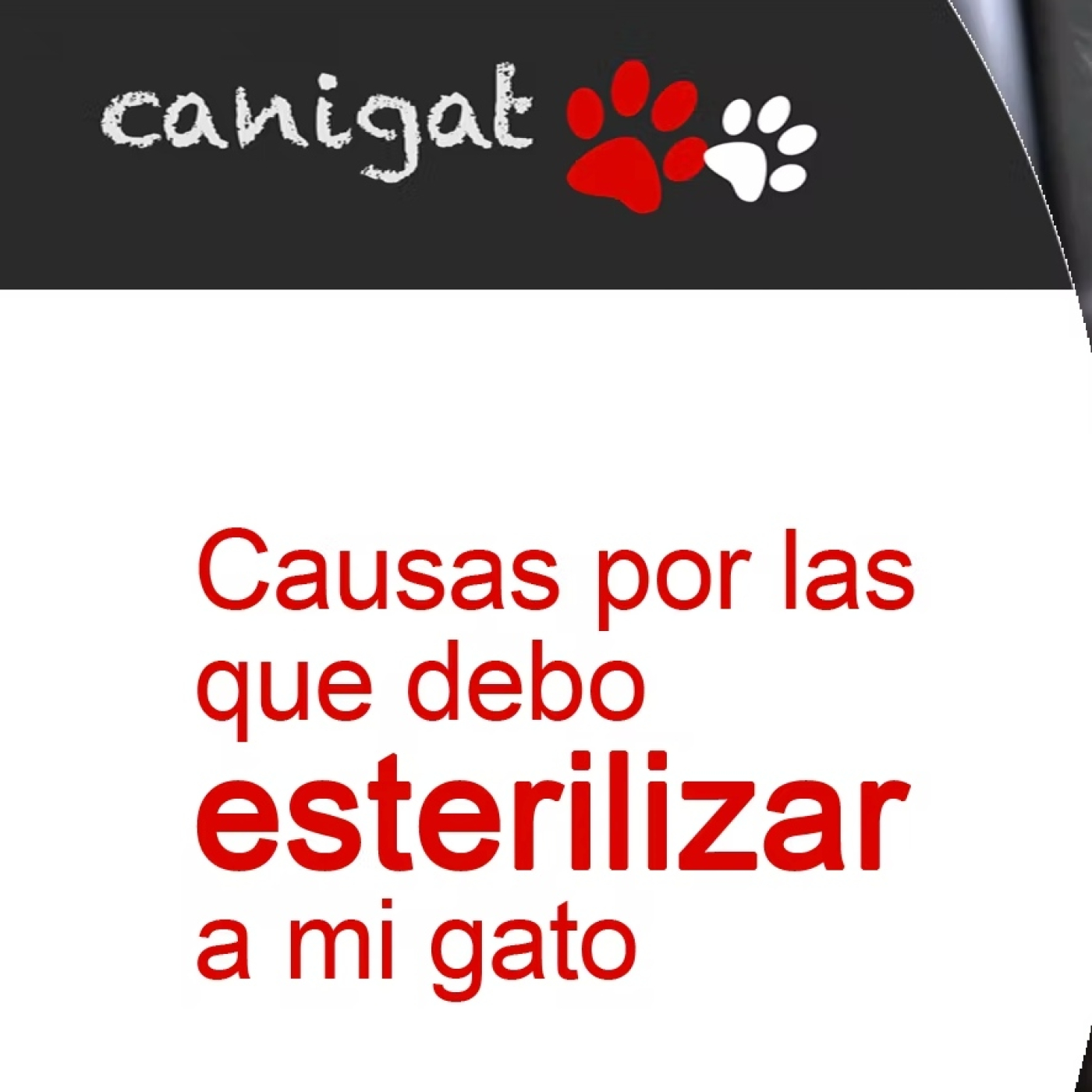 Consejos veterinarios de perros y gatos by canigat