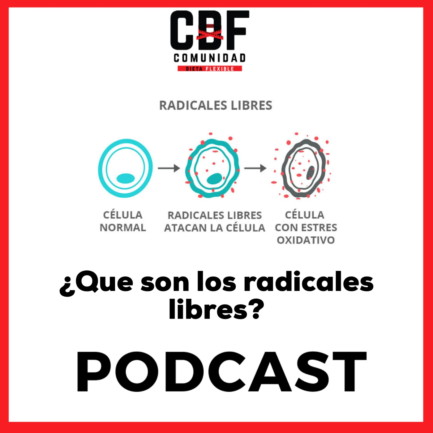 CDF Comunidad de Dieta Flexible con Pepeles Perez