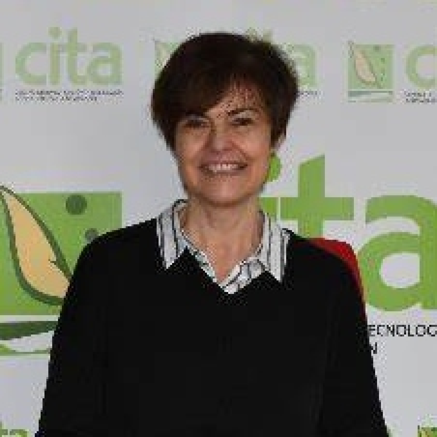 CITA de Aragón: Apariciones en radio