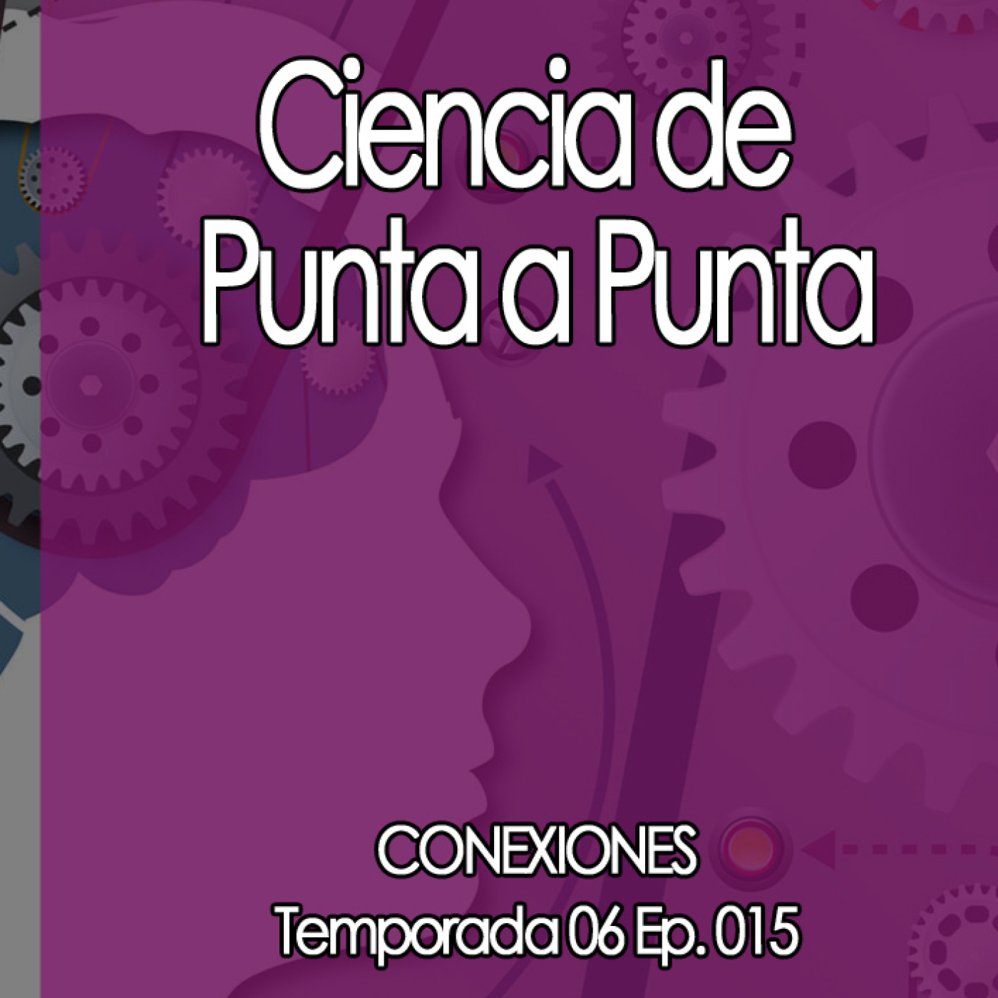 Conexiones Ciencia de Punta a Punta episode artwork