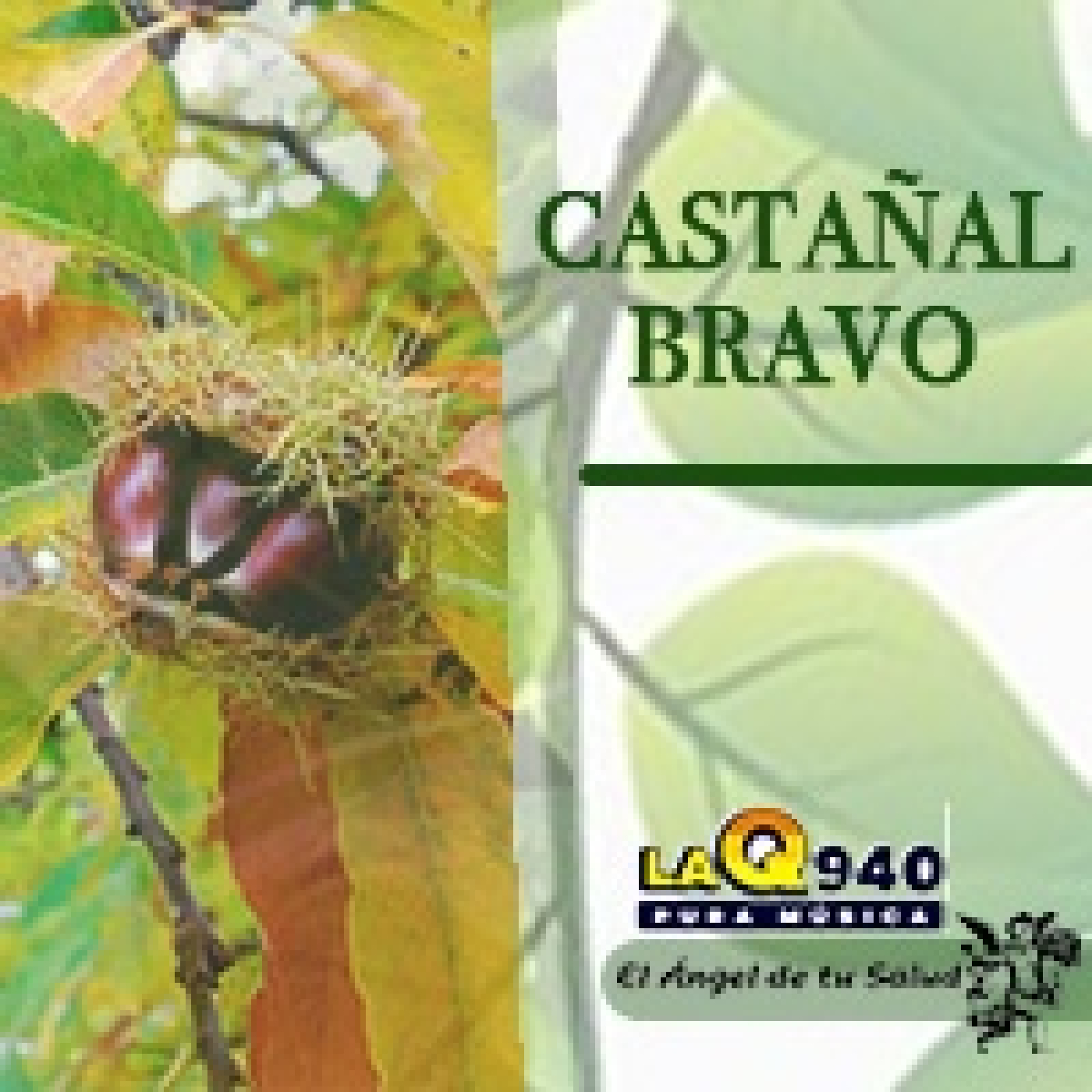 El Ángel de tu Salud - Castañal Bravo** episode artwork