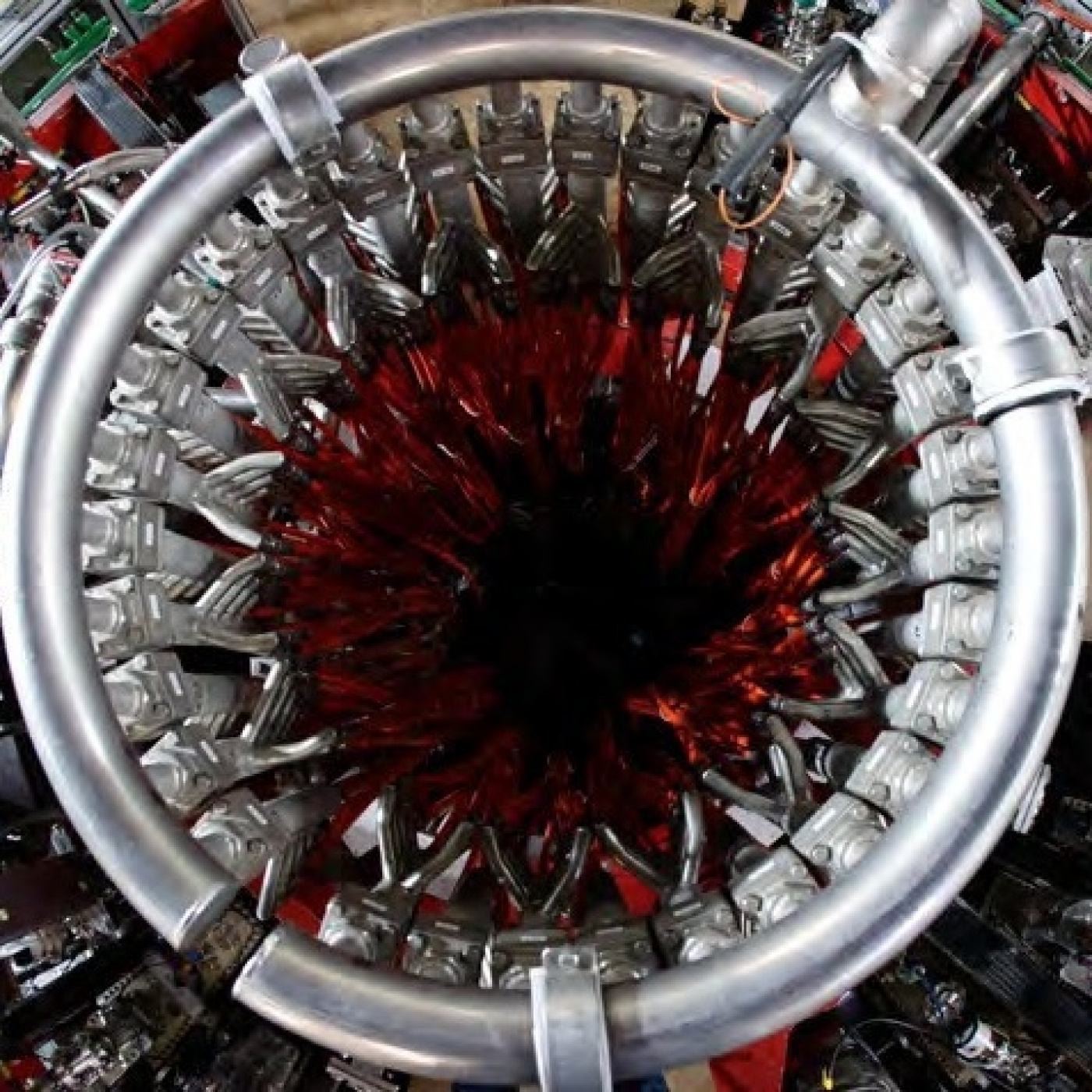 Fotciencia19