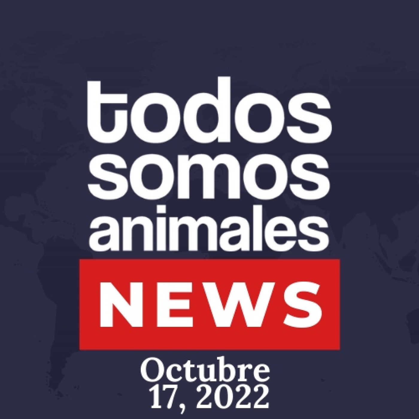 Todos Somos Animales News