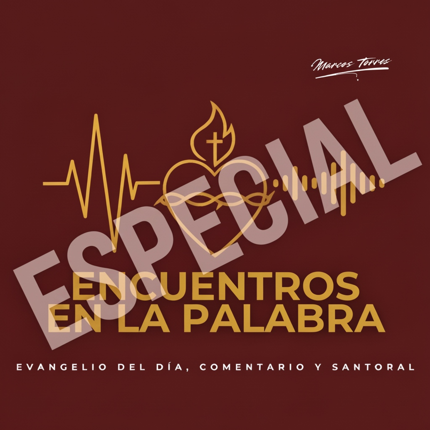 Homilía Especial - "Al Lugar del que Partimos" episode artwork