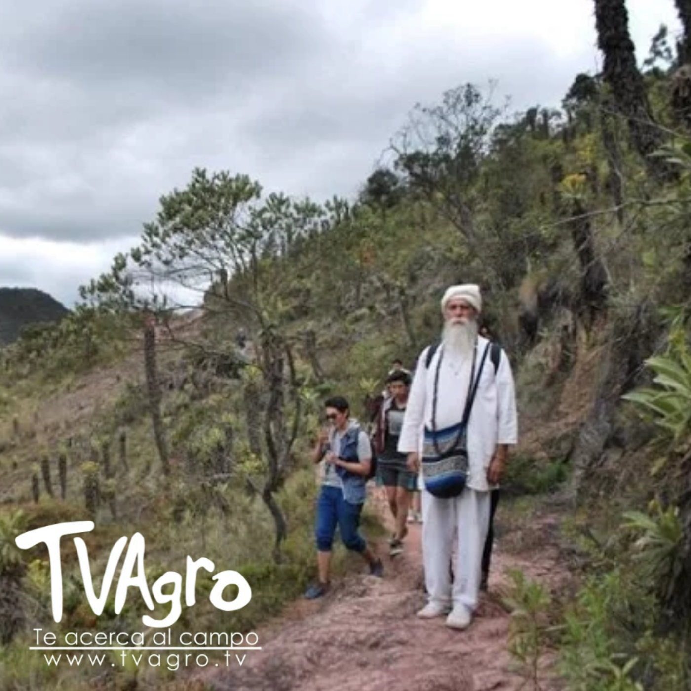 TV AGRO