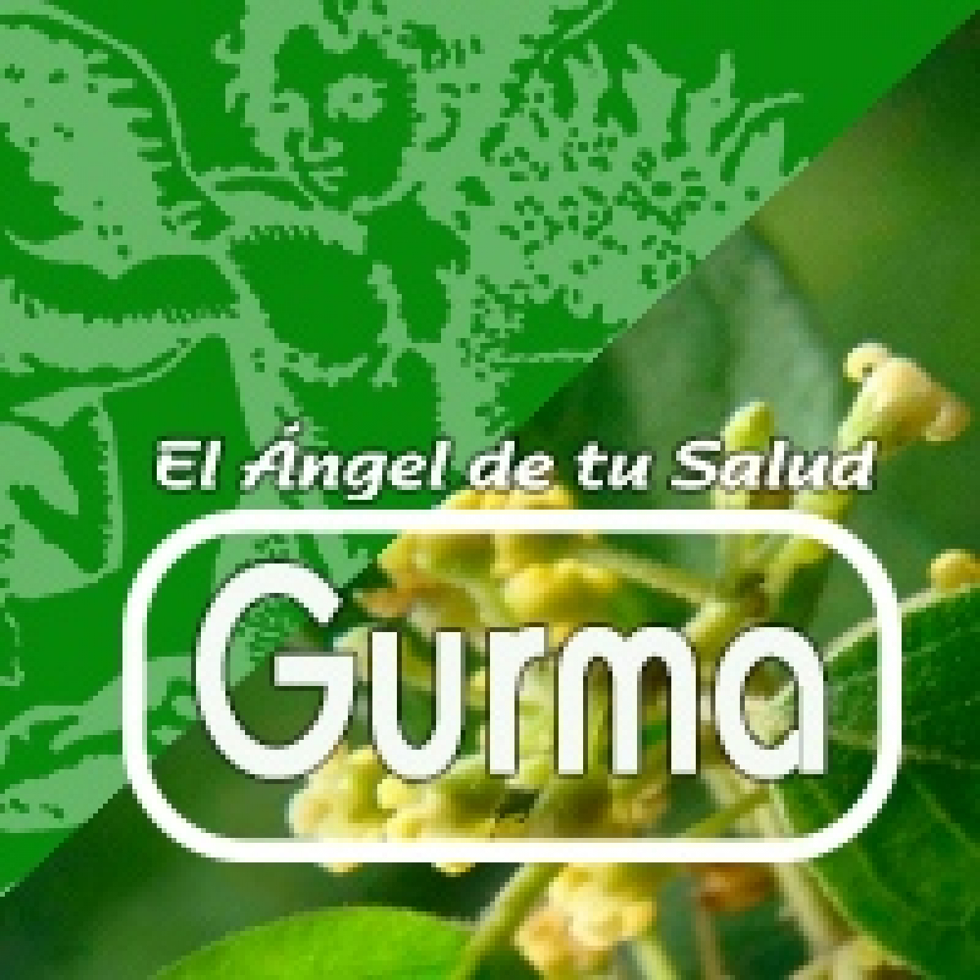 El Angel de tu Salud - GURMA**** episode artwork