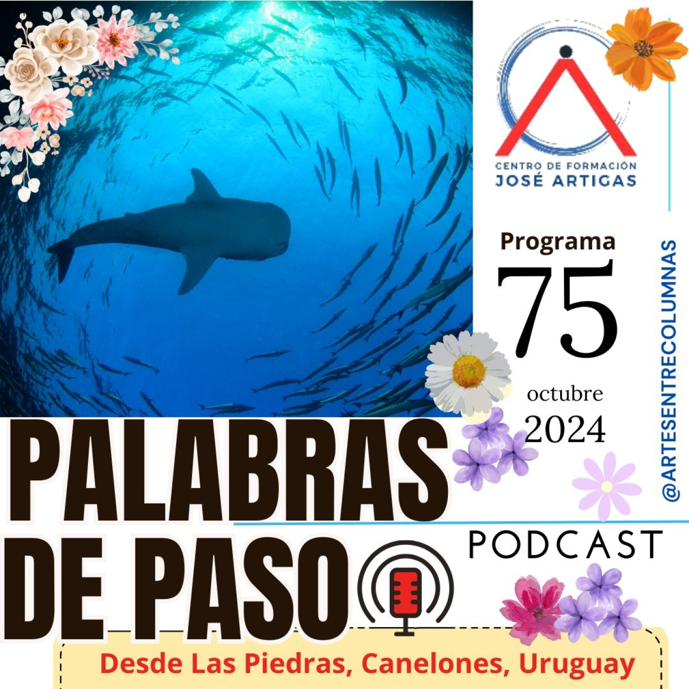 Palabras de Paso