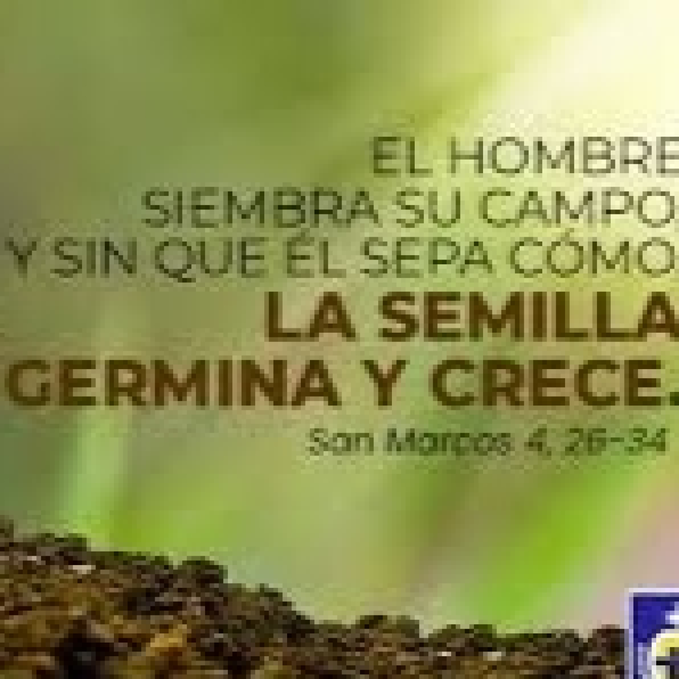 HOMILIAS - P.Luis Miguel Castillo