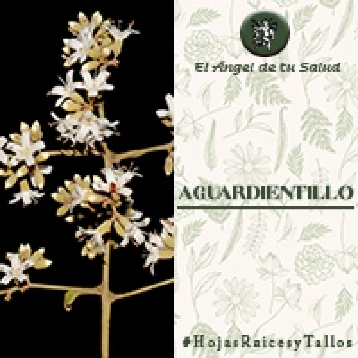 El Ángel de tu Salud - Aguardientillo**