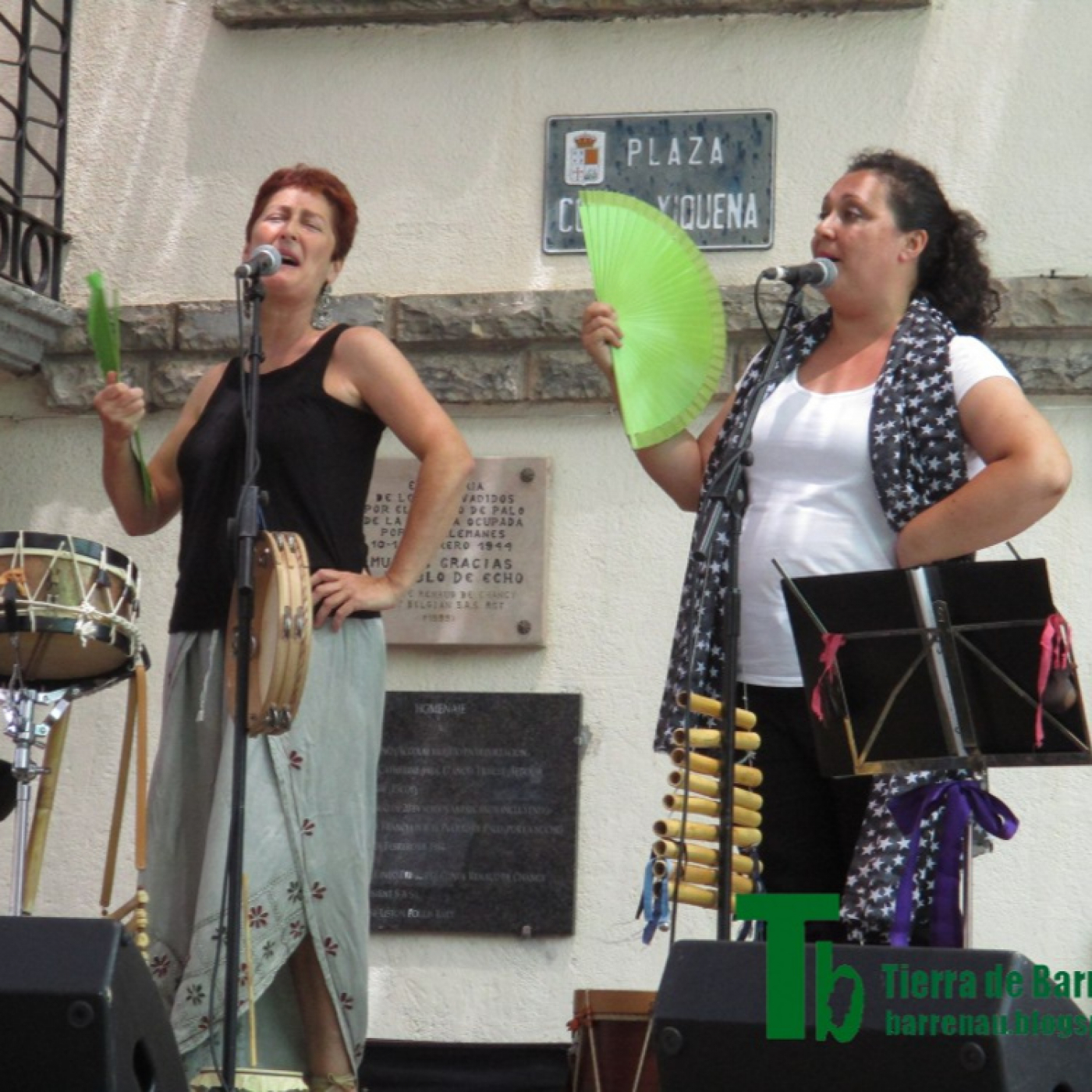 Tierra de barrenaus