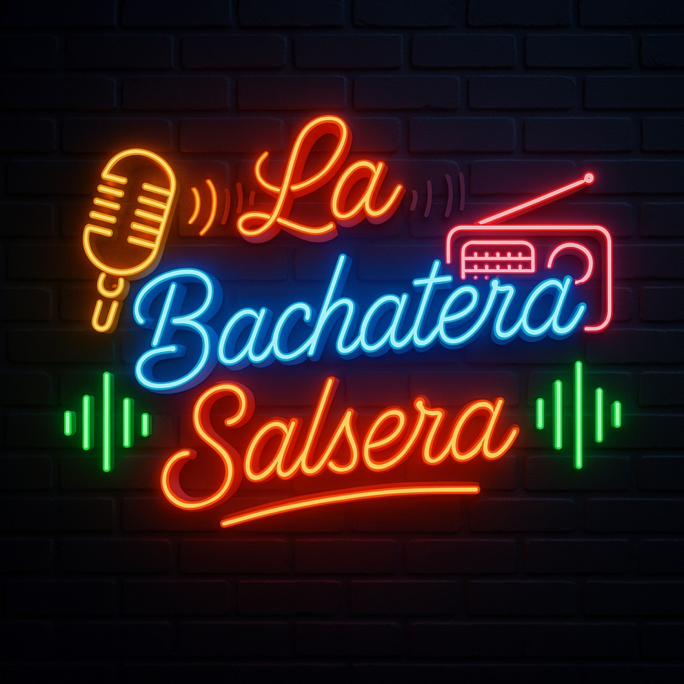 PROGRAMA 61