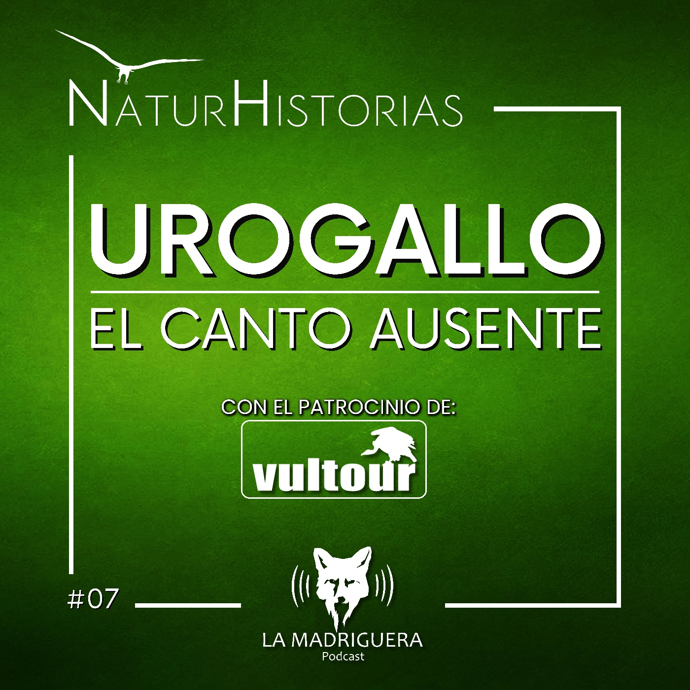 #07 – Urogallo; El canto ausente – Naturhistorias (02/2025)