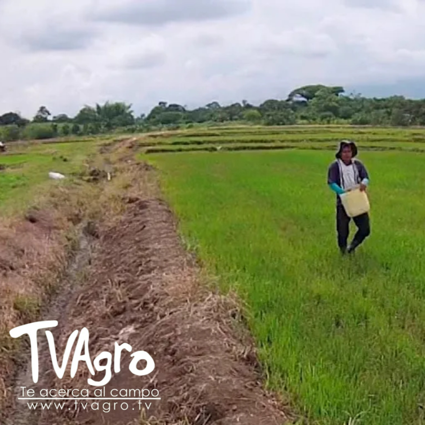 TV AGRO