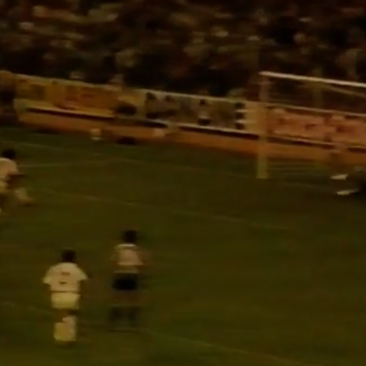 Corazón Txuri Urdin